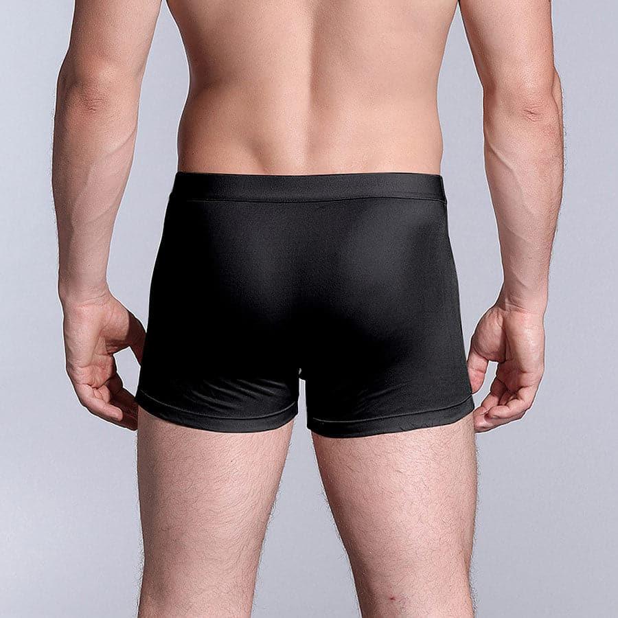 Men's Silk Boxer Briefs Underwear - DAISYSILK