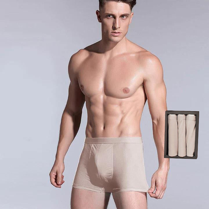 3 Pcs Men's Silk Boxer Briefs Underwear - DAISYSILK