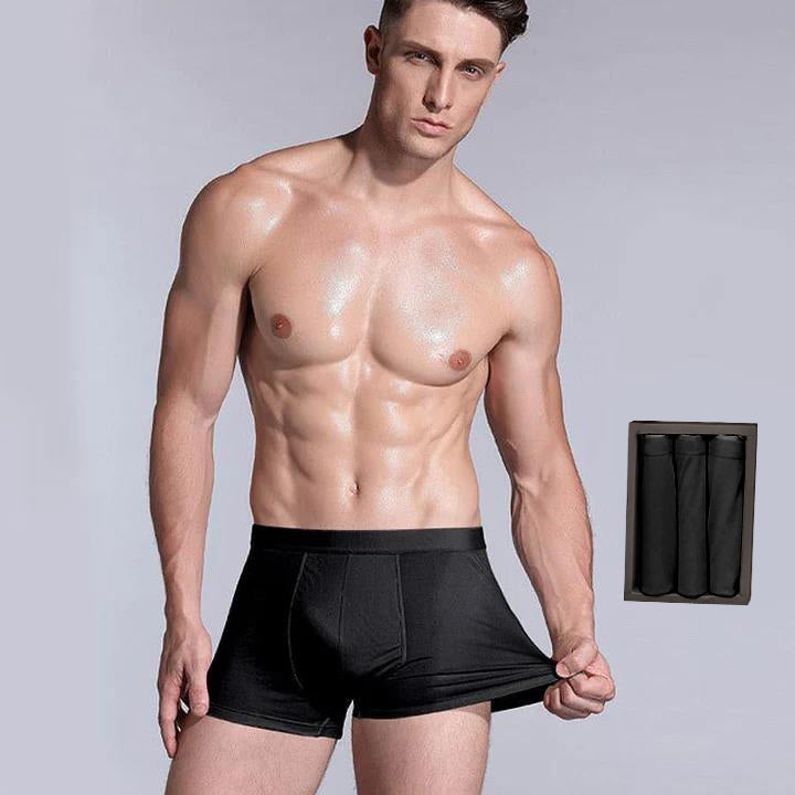 3 Pcs Men's Silk Boxer Briefs Underwear - DAISYSILK