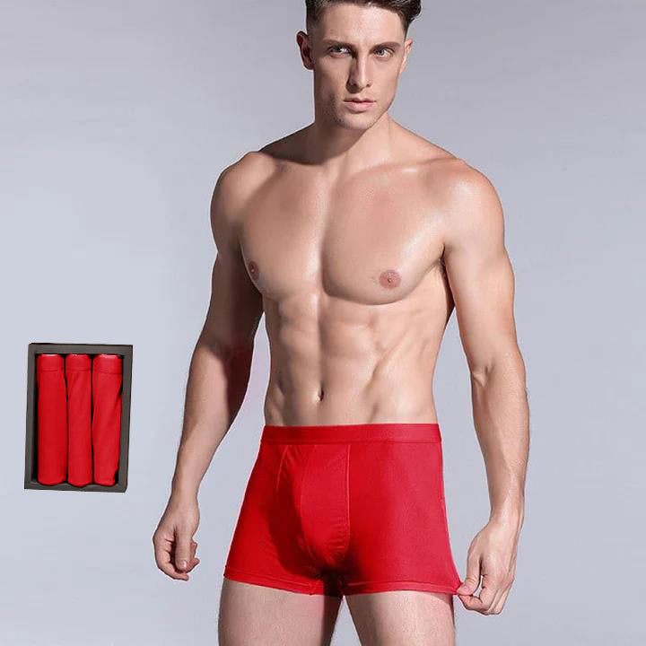 3 Pcs Men's Silk Boxer Briefs Underwear - DAISYSILK