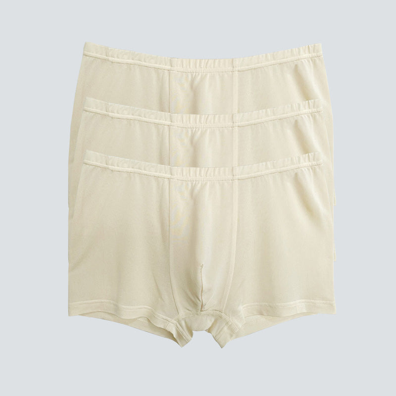 3 Pcs Skin-Friendly Men Boxer Panties - DAISYSILK