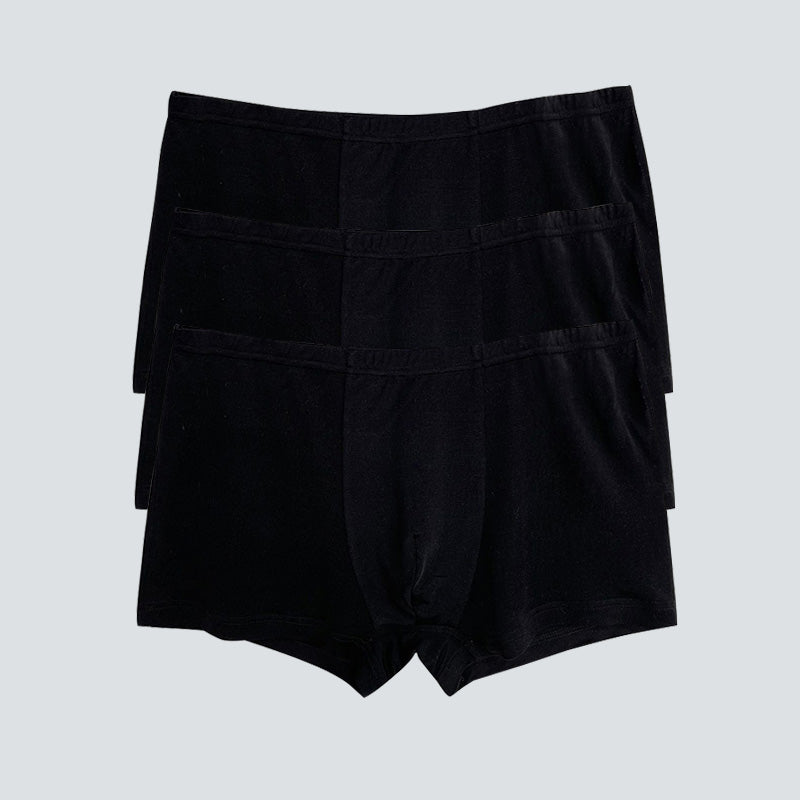 3 Pcs Skin-Friendly Men Boxer Panties - DAISYSILK