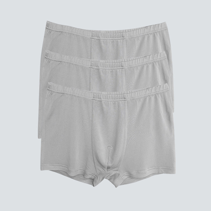 3 Pcs Skin-Friendly Men Boxer Panties - DAISYSILK