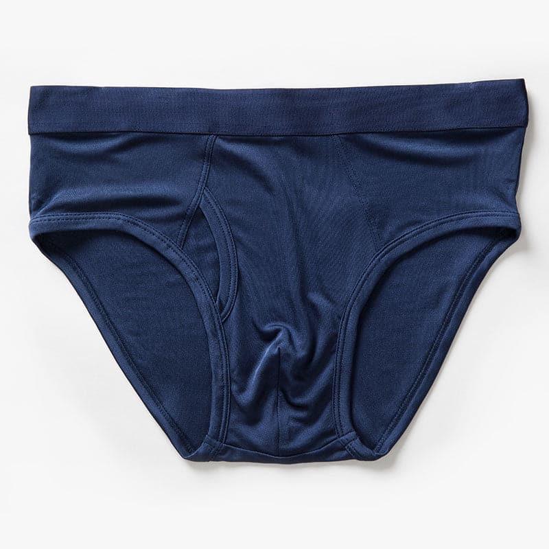 Silk Briefs for Men - DAISYSILK