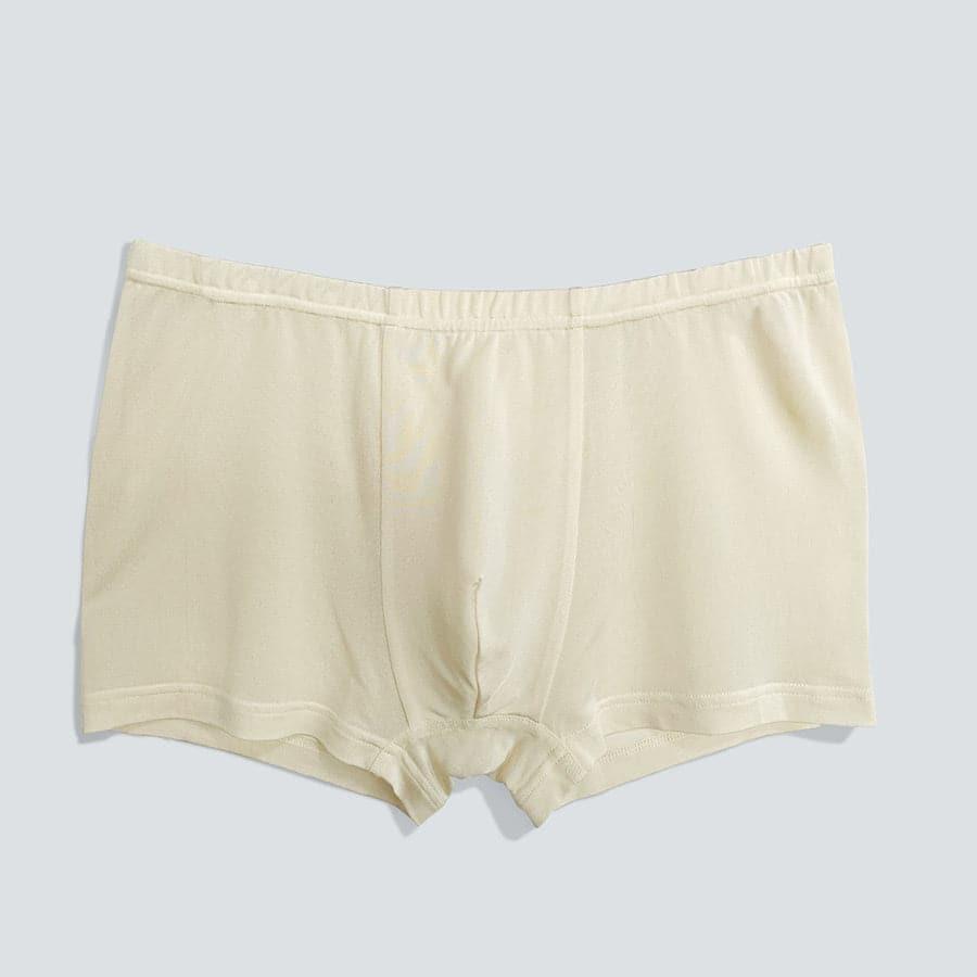 Skin-Friendly Men Boxer Panties - DAISYSILK