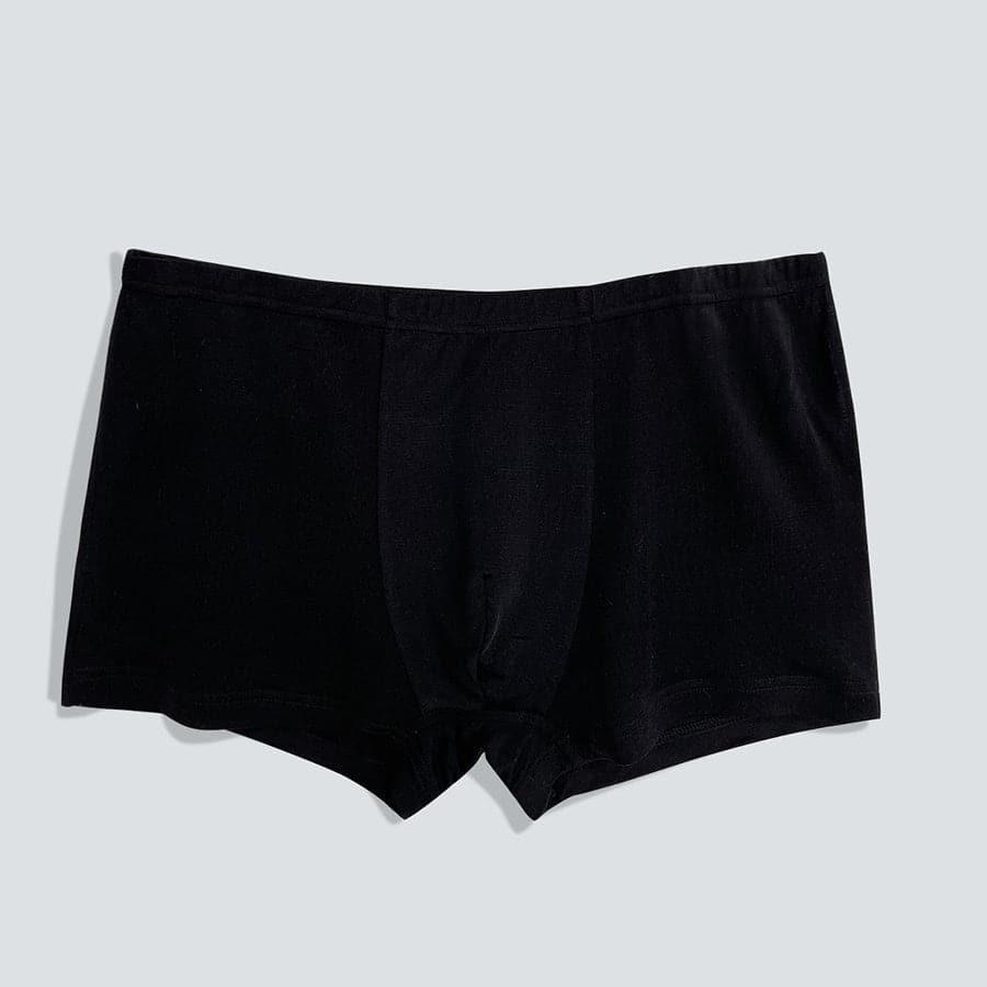 Skin-Friendly Men Boxer Panties - DAISYSILK