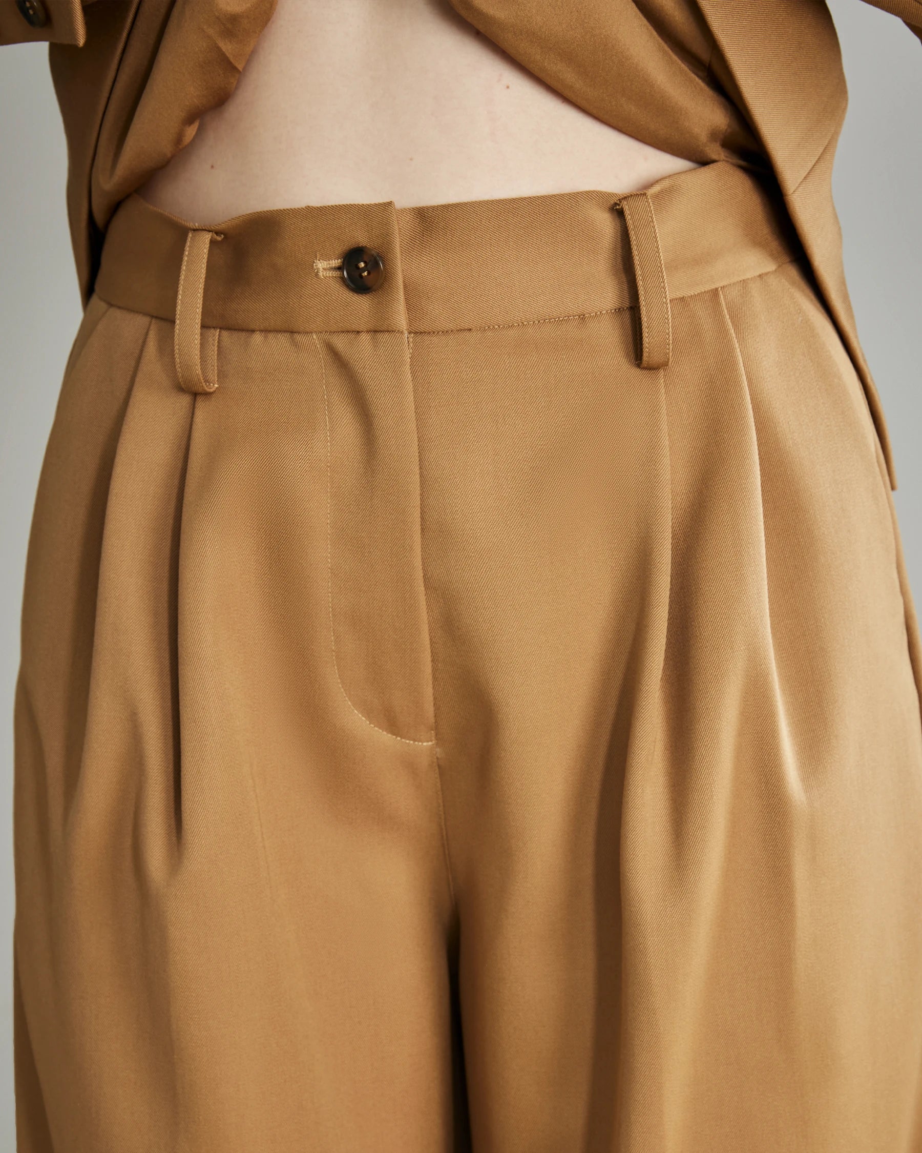 Women's Pleated Wool Wide Leg Pants, Camel