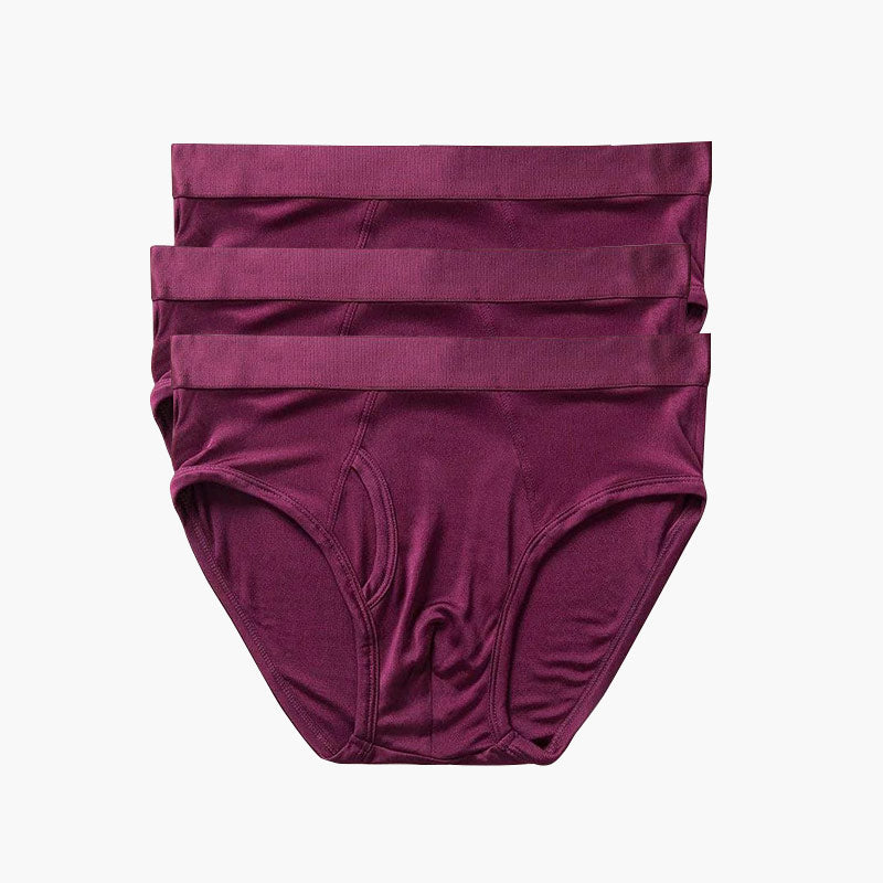 100% Silk Knit Men's Briefs for Men 3Pcs - DAISYSILK