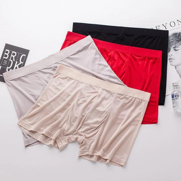 3 Pcs Men's Silk Boxer Briefs Underwear - DAISYSILK
