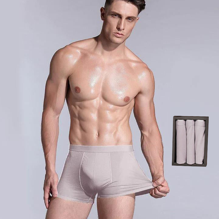 3 Pcs Men's Silk Boxer Briefs Underwear - DAISYSILK