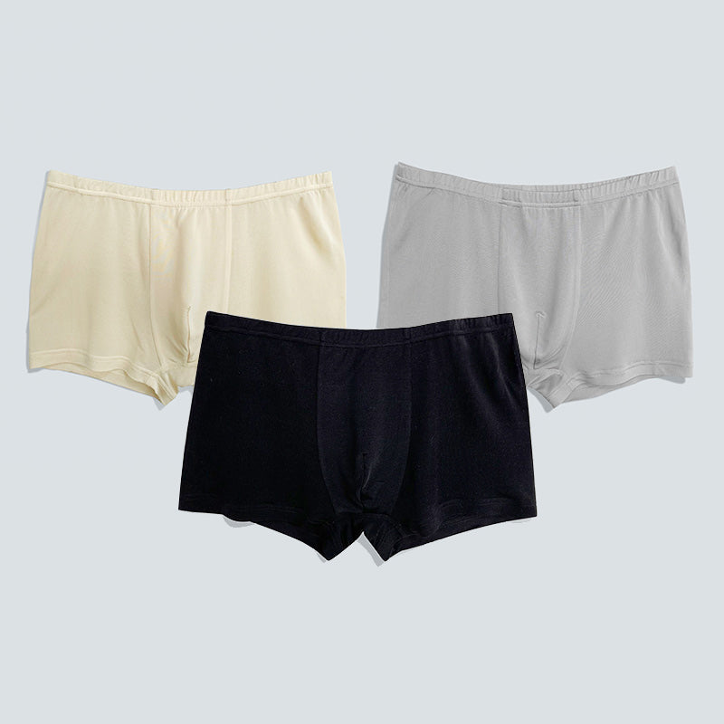 3 Pcs Skin-Friendly Men Boxer Panties - DAISYSILK
