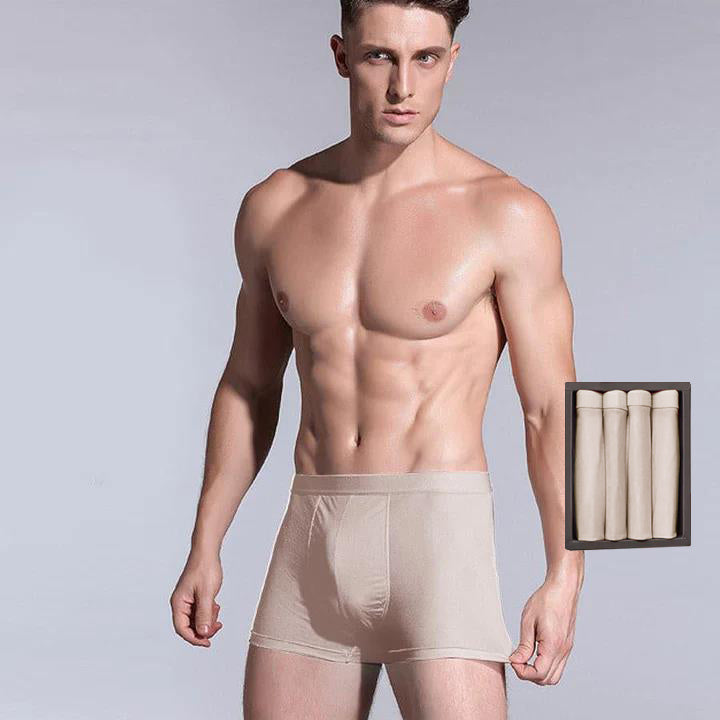 4 Pcs Men's Silk Boxer Briefs Underwear - DAISYSILK