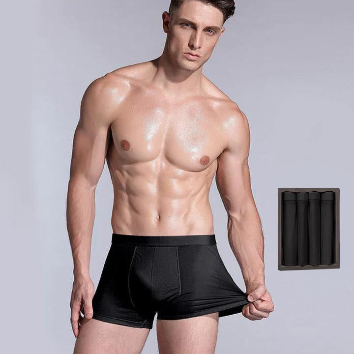 4 Pcs Men's Silk Boxer Briefs Underwear - DAISYSILK