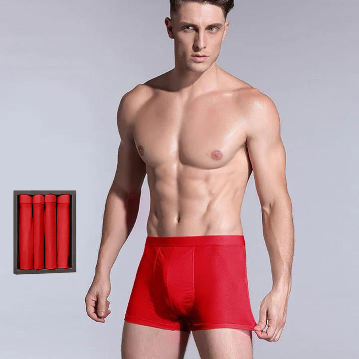 4 Pcs Men's Silk Boxer Briefs Underwear - DAISYSILK