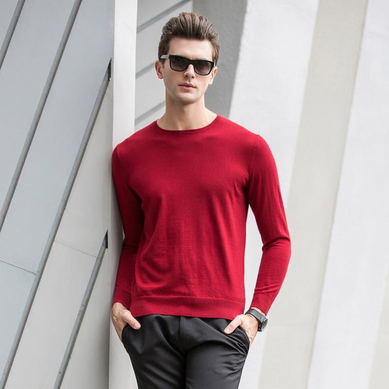 Crew Neck Cashmere Sweater for Men - DAISYSILK
