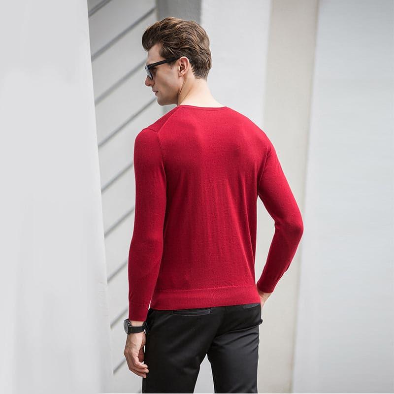Crew Neck Cashmere Sweater for Men - DAISYSILK