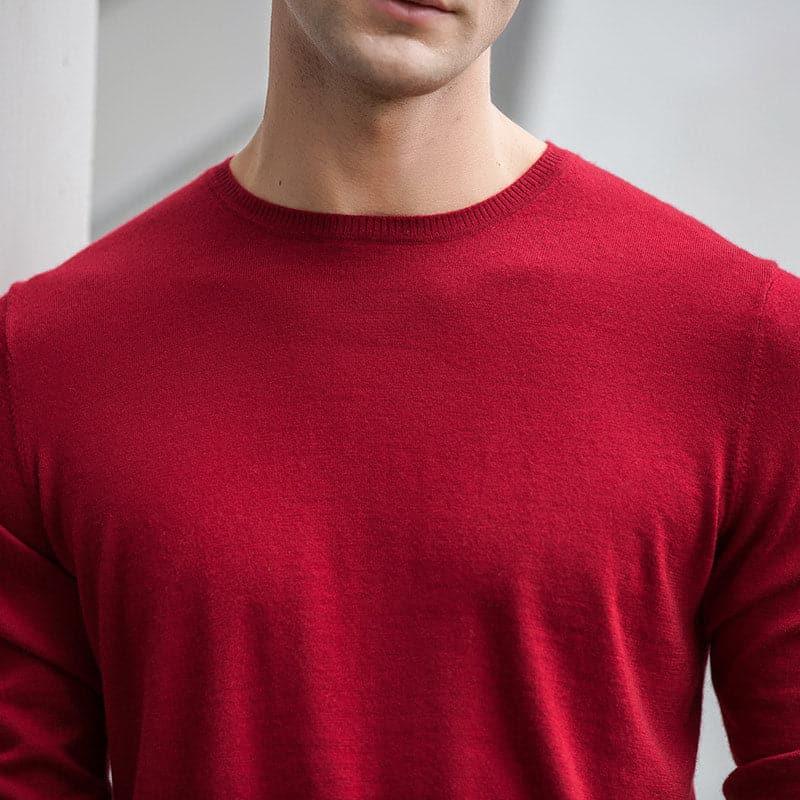 Crew Neck Cashmere Sweater for Men - DAISYSILK