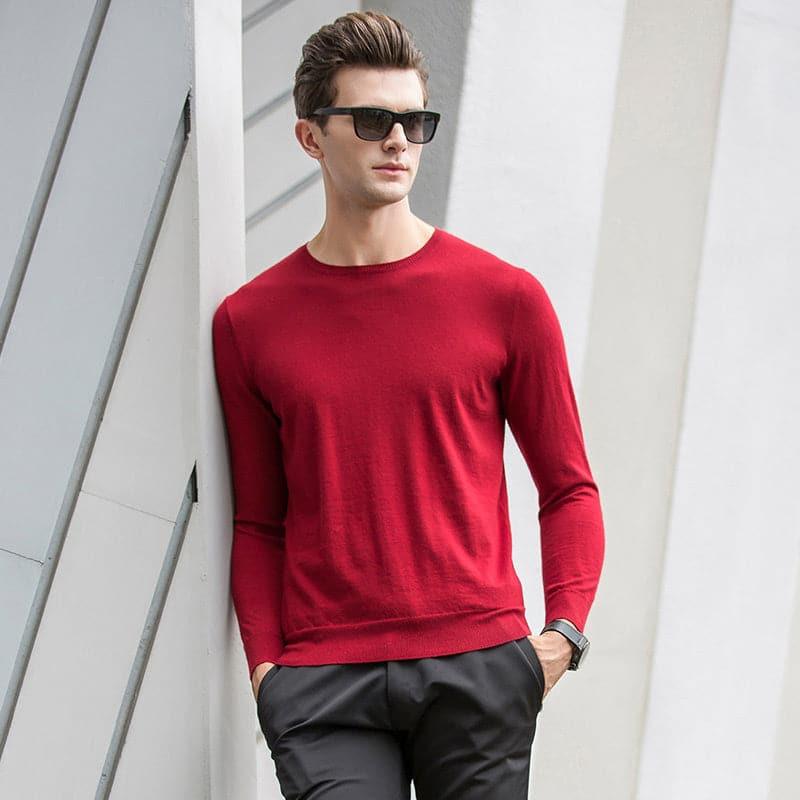 Crew Neck Cashmere Sweater for Men - DAISYSILK