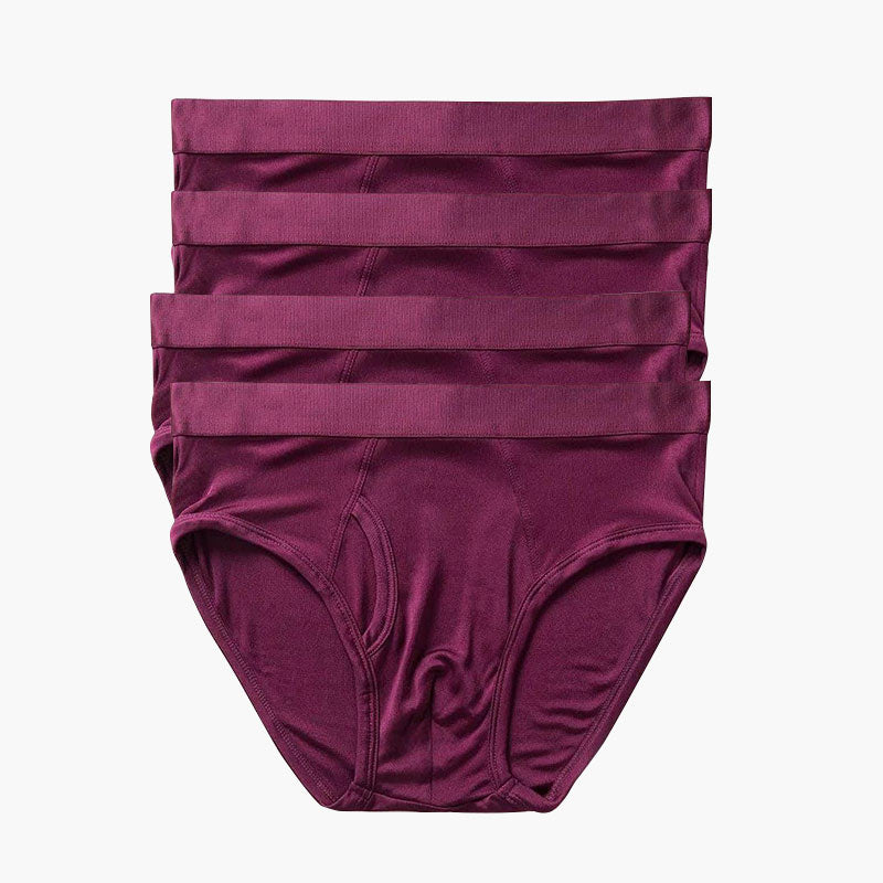 4Pcs Men's Silk Knit Briefs - DAISYSILK