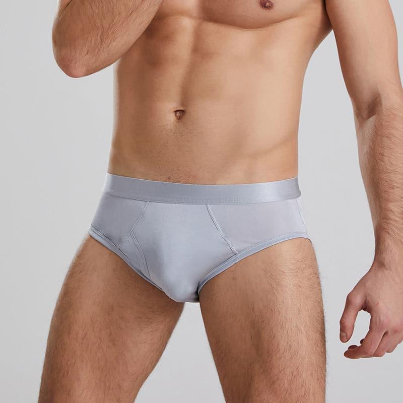Silk Briefs for Men - DAISYSILK