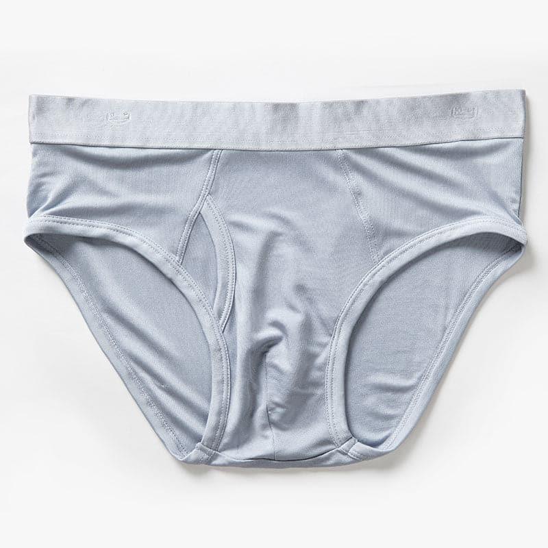 Silk Briefs for Men - DAISYSILK