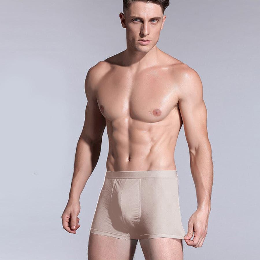 Men's Silk Boxer Briefs Underwear - DAISYSILK